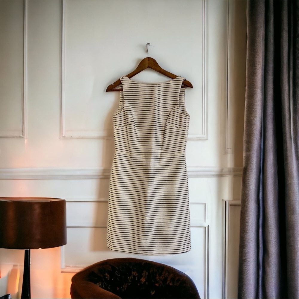 NWT Massimo Dutti Structured Dress
